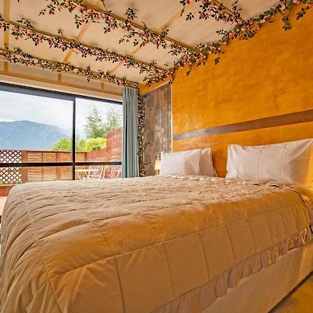Waikoura Springs Bed & Breakfast Kaikoura Luaran gambar