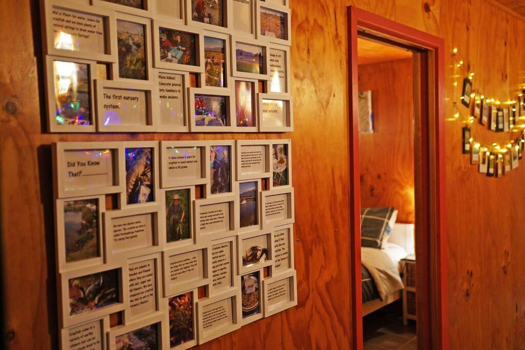 Waikoura Springs Bed & Breakfast Kaikoura Luaran gambar