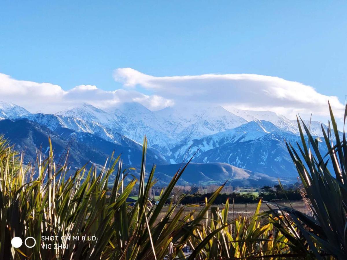 Waikoura Springs Bed & Breakfast Kaikoura Luaran gambar